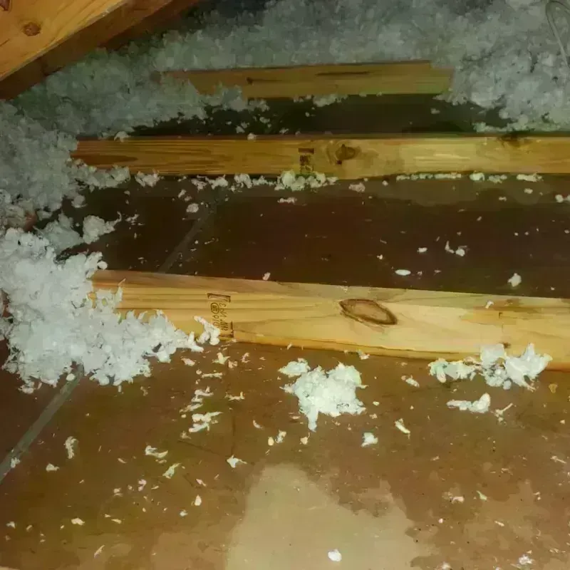 Attic Water Damage in North Lakeport, CA